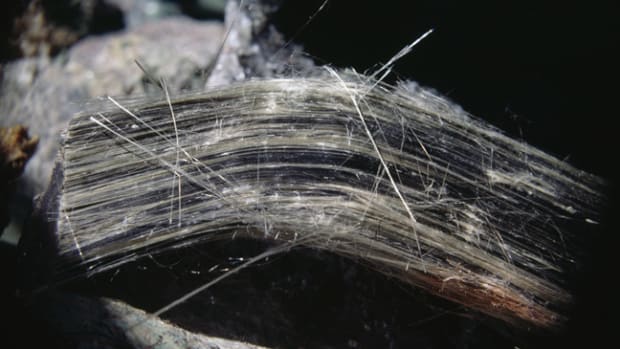  Asbestos fibers. (Photo by DeAgostini/Getty Images)