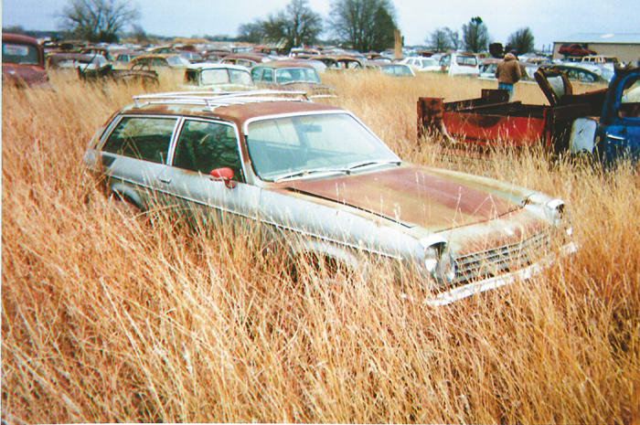 The much-maligned Chevrolet Vega is represented in the yard by this near-complete 1976 two-door station wagon partially hidden by tall grass. It sports the $53 optional roof rack.