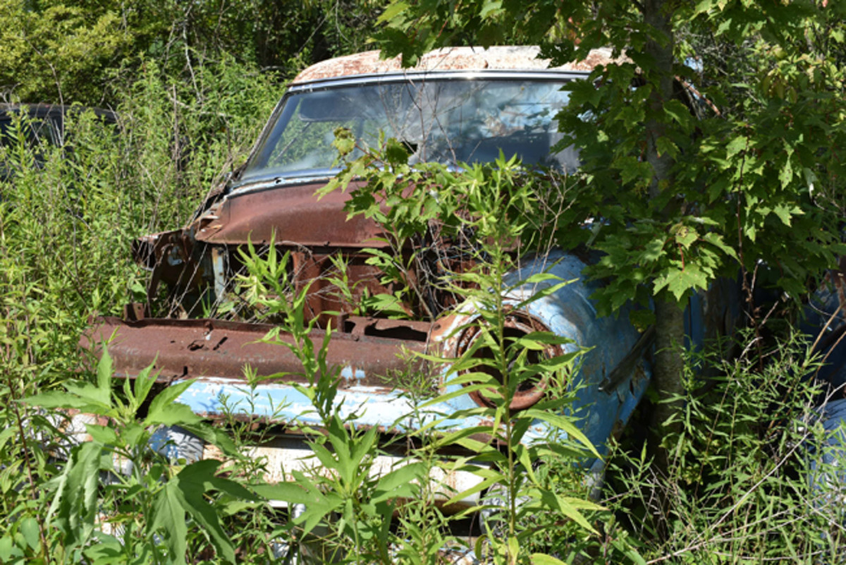  Hiding in the weeds was this late-1950s English Ford Anglia Estate Wagon, available for parts or as a builder’s delight.