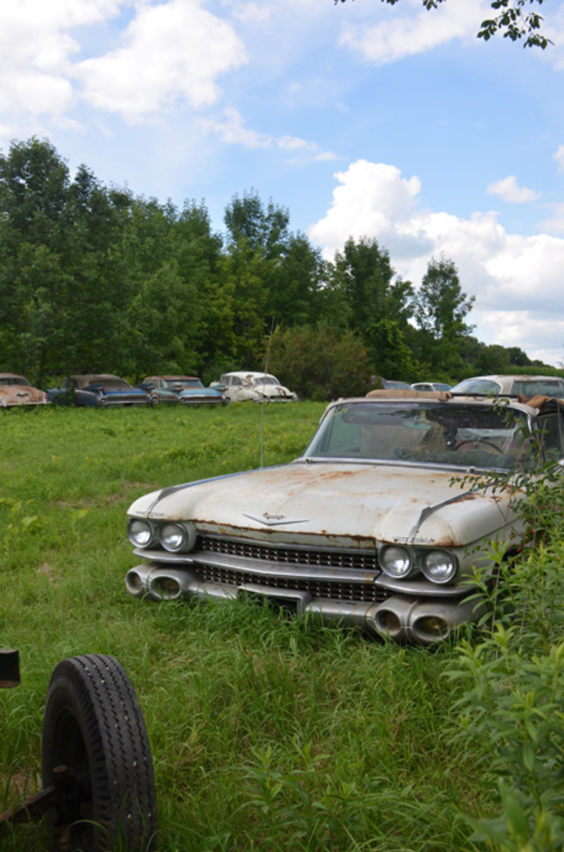  A view of the stash of Cadillacs in the Brown Collection. The cars suffered significant raccoon damage within the barn where they were stored and before the sale, Yvette VanDerBrink had the cars moved outside.