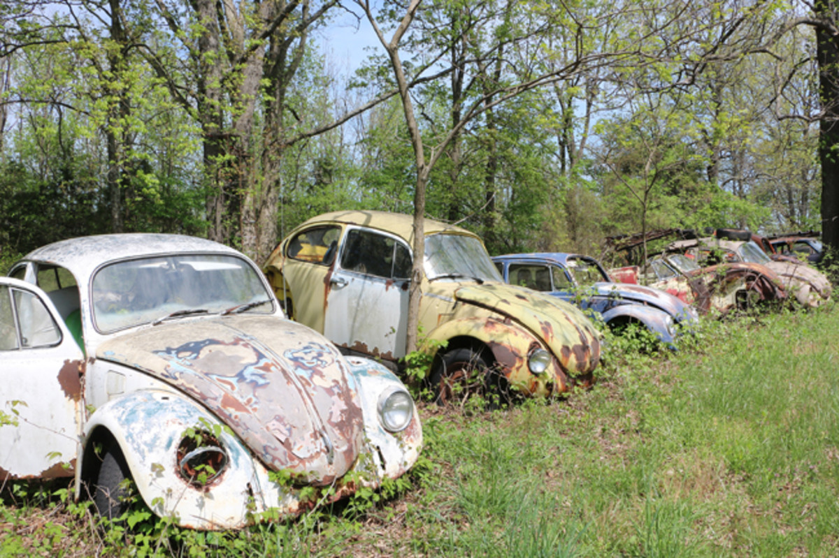  A row of Volkswagens are in the back of the yard. The newest is a 1974 Bug, and the oldest one is a 1968 convertible.