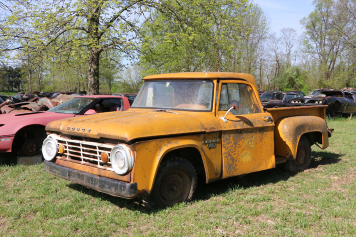  To retrieve this long-parked 1966 Dodge 100 pickup out of the woods, Lyon had to cut a couple of big trees. One was growing through the bed, and another was between the bed and cab, bending both.