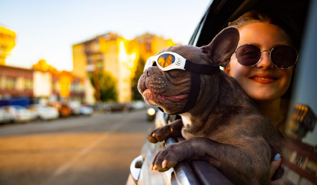 Charming woman, a pet owner, leaning on her dog, while he through car window exploring the city