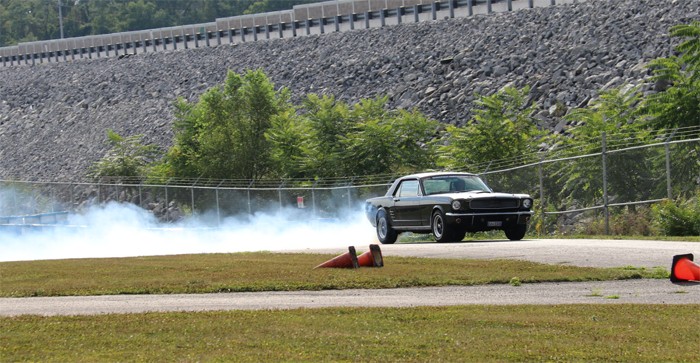 mustang-ripping-it-up.png