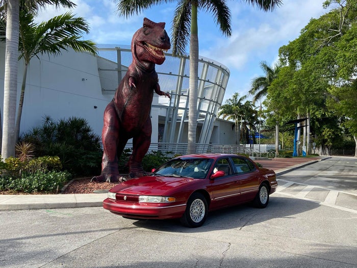 lhs-dinojpg.jpg