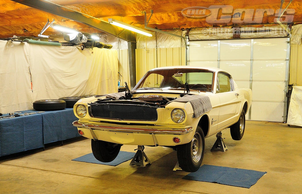 003-shelby-transformation-day-one-a287.jpg