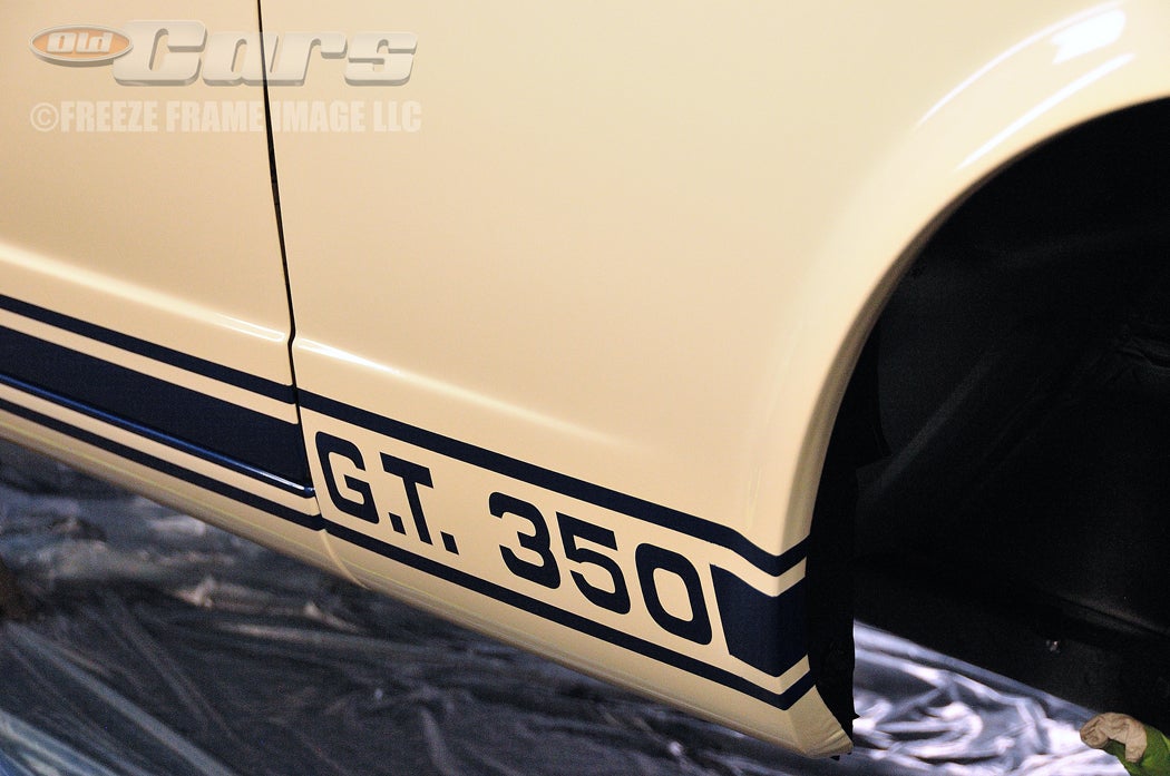 003-shelby-transformation-day-three-a007.jpg
