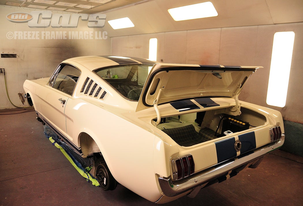 003-shelby-transformation-day-three-a001.jpg