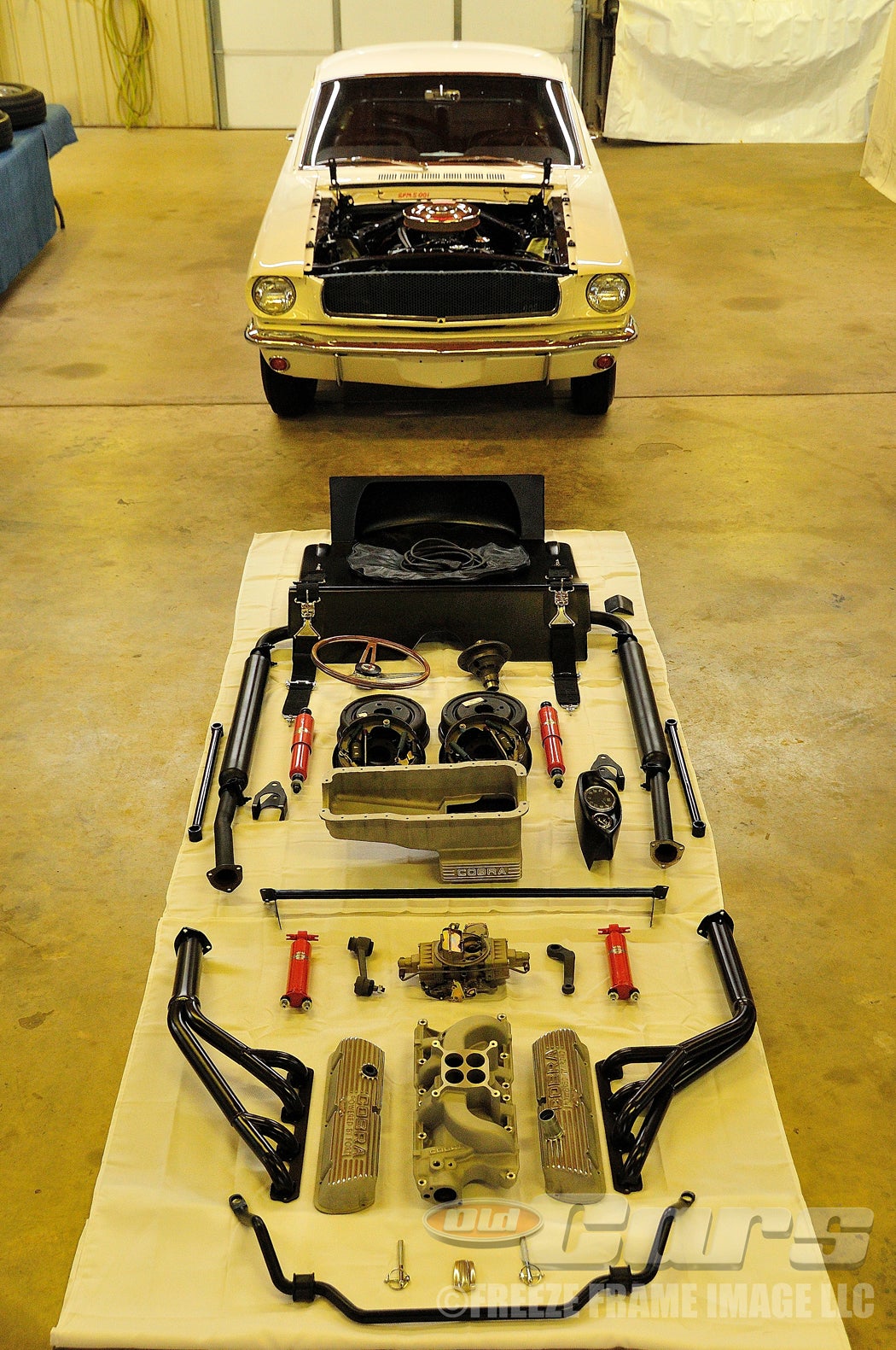 003-shelby-transformation-day-one-a275.jpg