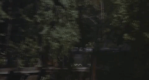 image-placeholder-title.gif