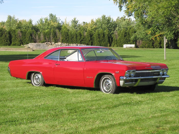 impala-in-yard.jpg