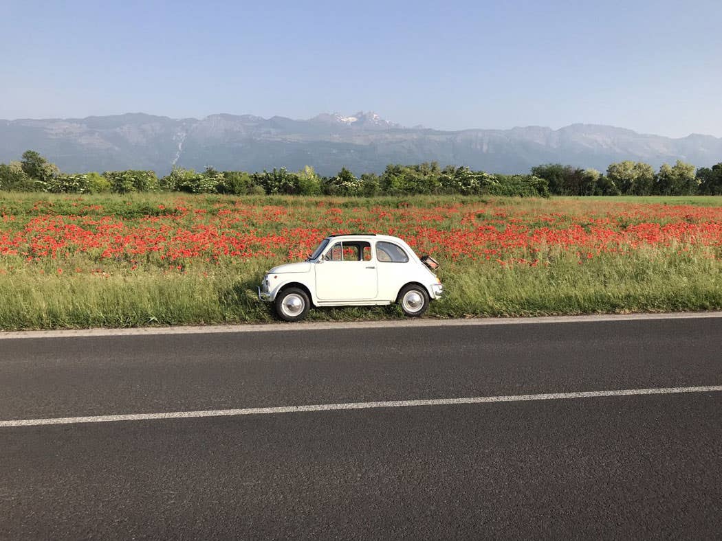 in-the-poppies.jpg