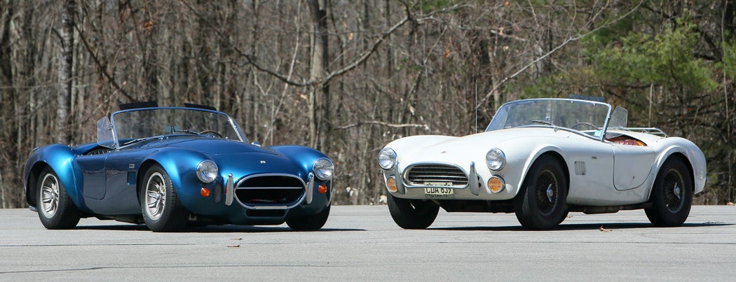 cobras.jpg