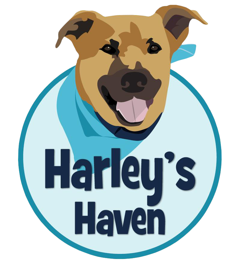 harleys-haven.png