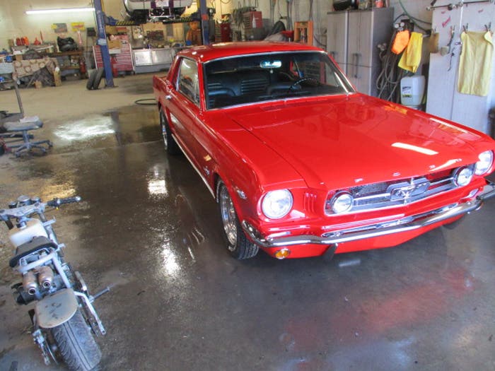 1965-mustan-farabaugh-16.jpg