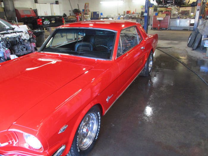 1965-mustan-farabaugh-18.jpg