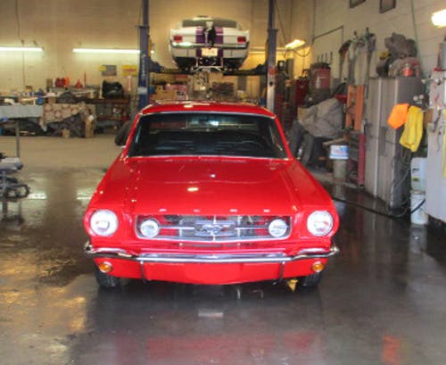 1965-mustan-farabaugh-14.jpg