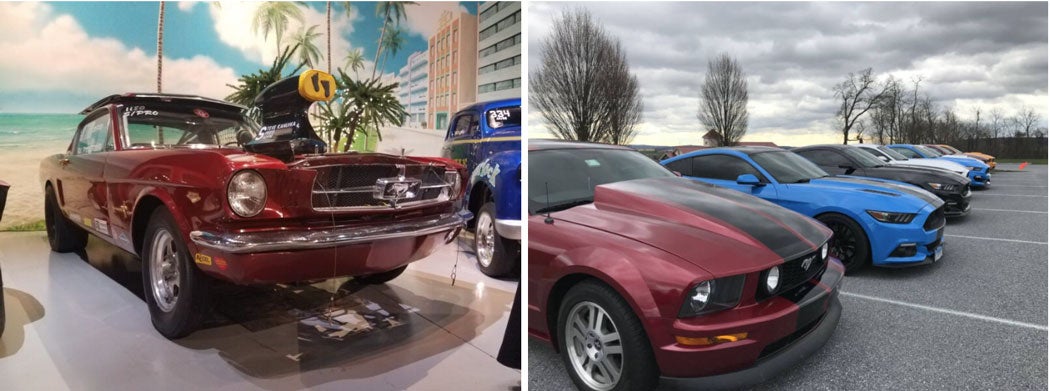 mustang-aaca.jpg