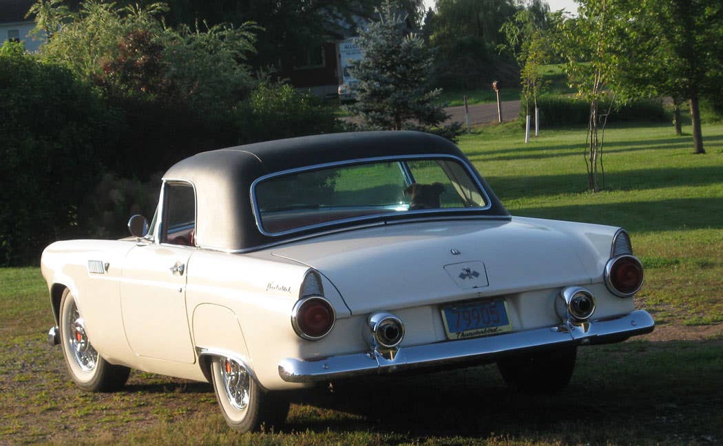 1955-ford-thunderbird-ritzinger-2.jpg