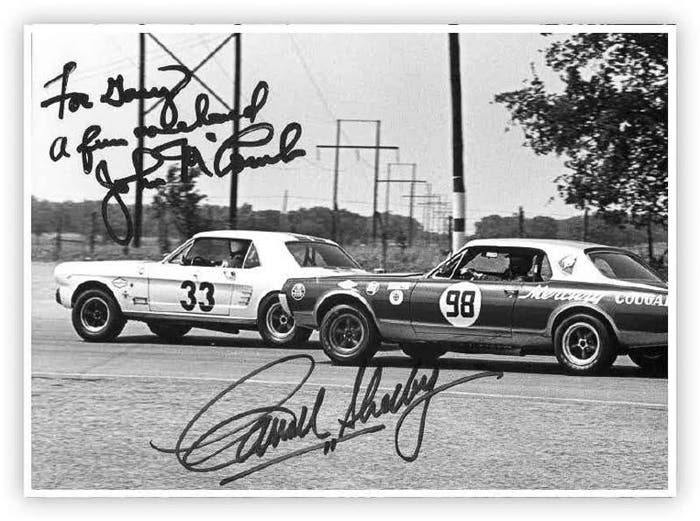 shelby4.jpg
