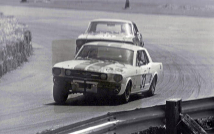 shelby2.jpg