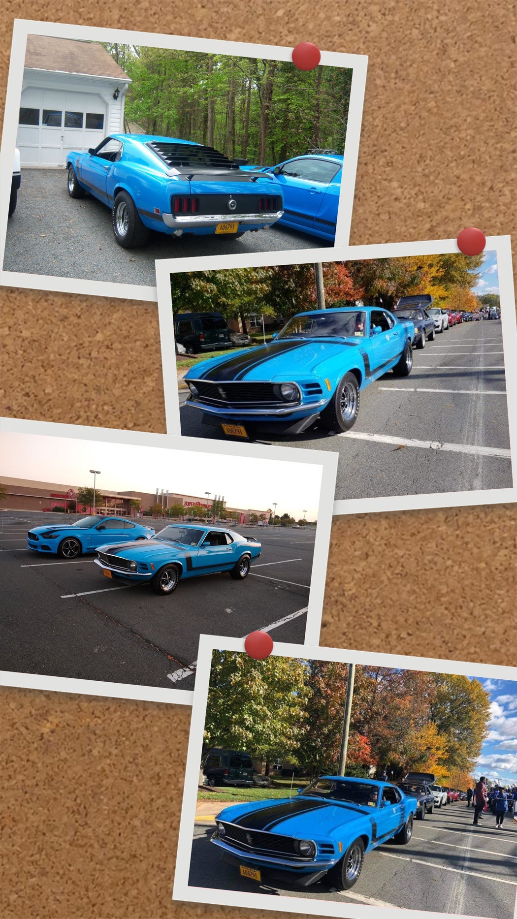 1970-ford-mustang-boss-302.jpg
