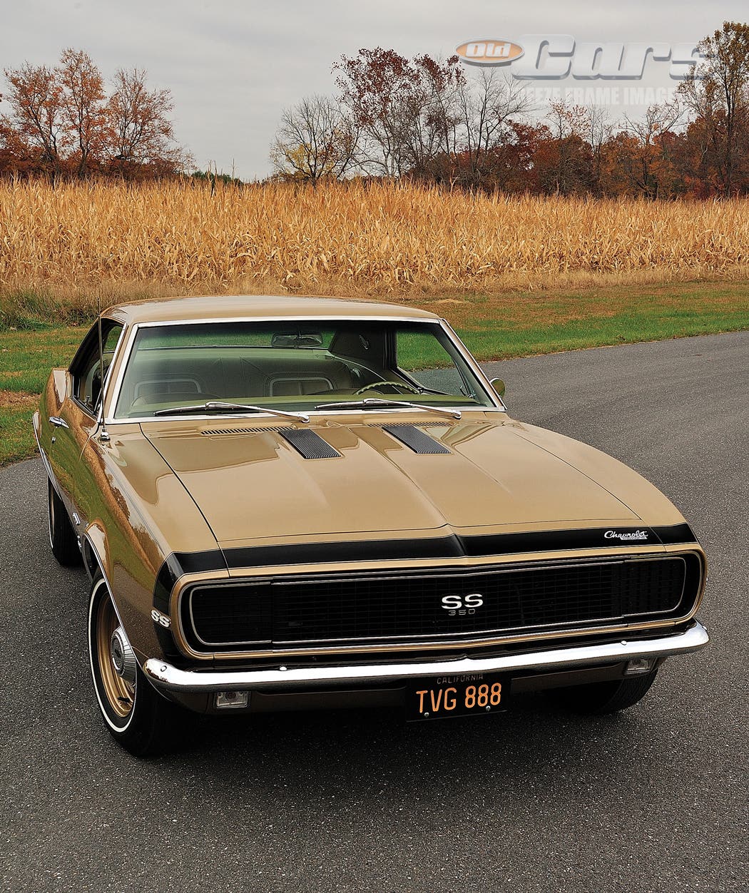 jenny-the-camaro-a086.jpg