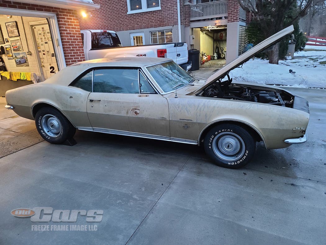 jenny-the-camaro-a133.jpg