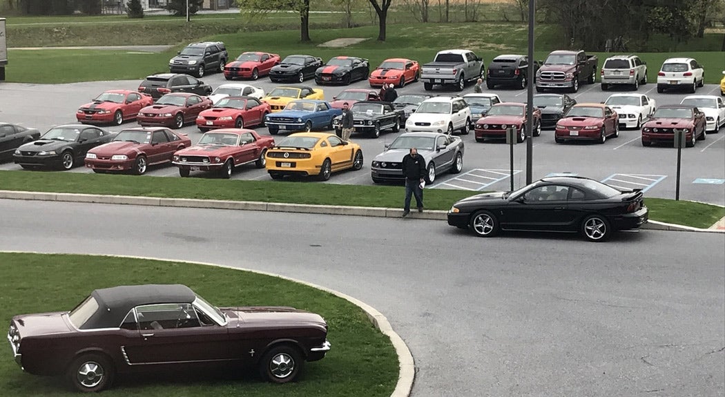 mustang-day.jpg