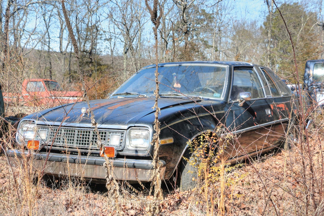 img_1284ax.jpg