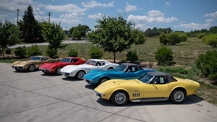 the-stingray-survivor-collection.jpg