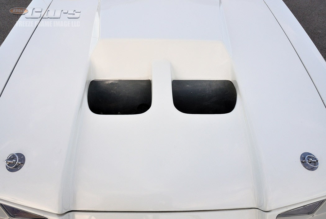 7-1980-mclaren-m-81-mustang-a163.jpg